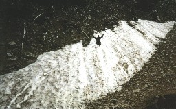 Snow pack on Baldy